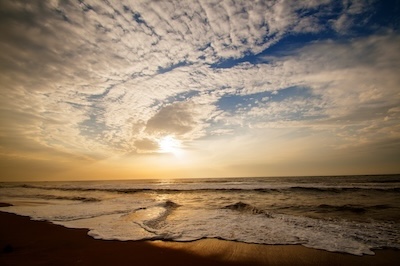 2025년 11월 4일, 100세 건강을 위한 혁신: 신제품, 신기술, 새로운 운동법 요약